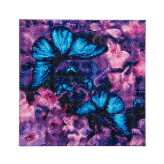 Blue Violet Butterflies