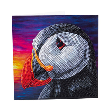 Puffin Sunset 18x18cm Card