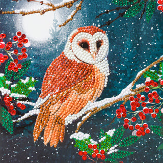 Barn Owl 18x18cm Card