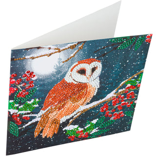 Barn Owl 18x18cm Card