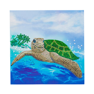 Turtle Paradise 18x18cm Card