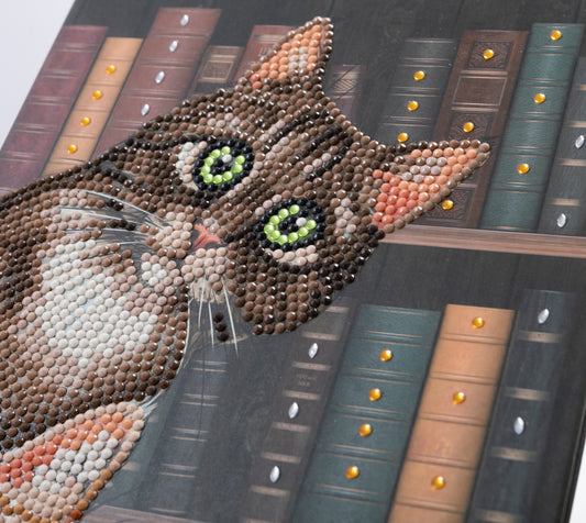 Cats in the Library Crystal Art notebook