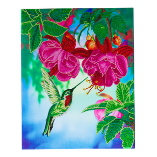 Hummingbird Dreams
