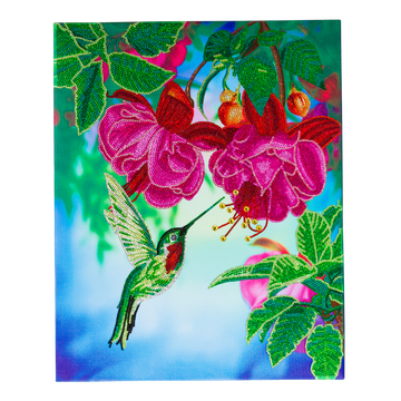 Hummingbird Dreams