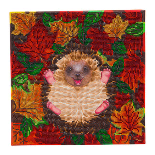 Autumn Hedgehog