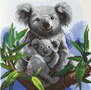 Koala Bears