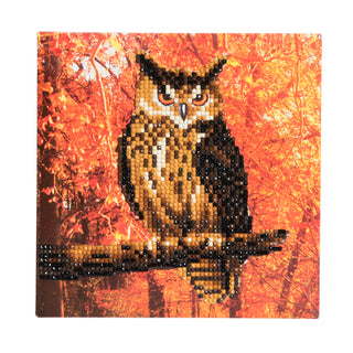 Autumn Owl 18x18cm Card