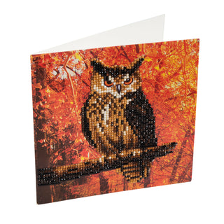 Autumn Owl 18x18cm Card