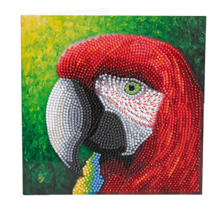 Pretty Parrot 18x18cm Card