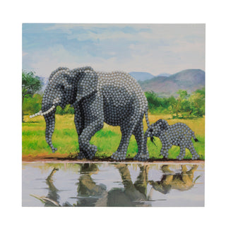 Elephants 18x18cm Card