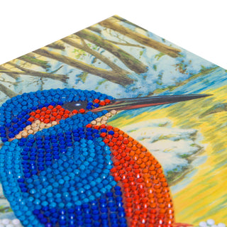 Kingfisher 18x18cm Card