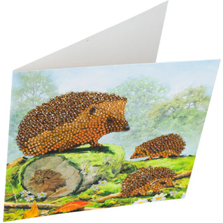 Happy Hedgehog 18x18cm Card