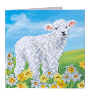 Little Lamb 18x18cm Card