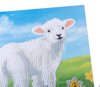 Little Lamb 18x18cm Card