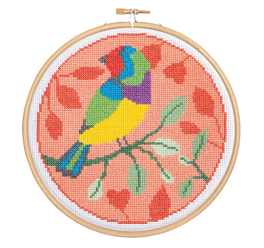 Rainbow Finch Cross Stich